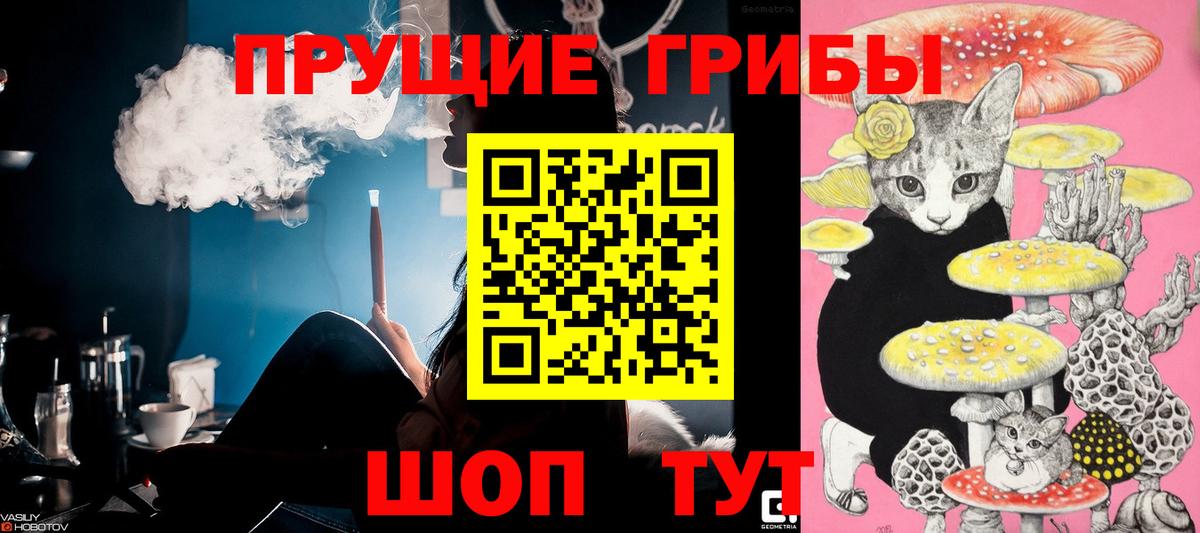 Псилоцибиновые грибы MAGIC MUSHROOMS Пугачёв