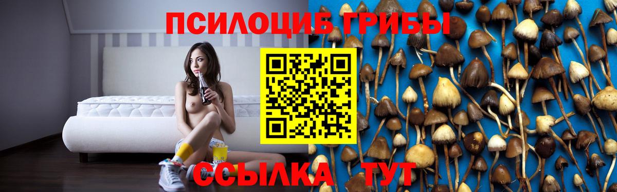 Галлюциногенные грибы Cubensis  Вход с VPN  Пугачёв  Галлюциногенные грибы Magic Shrooms 